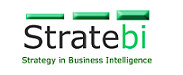 Stratebi Business Solutions