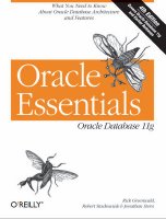 Oracle essentials